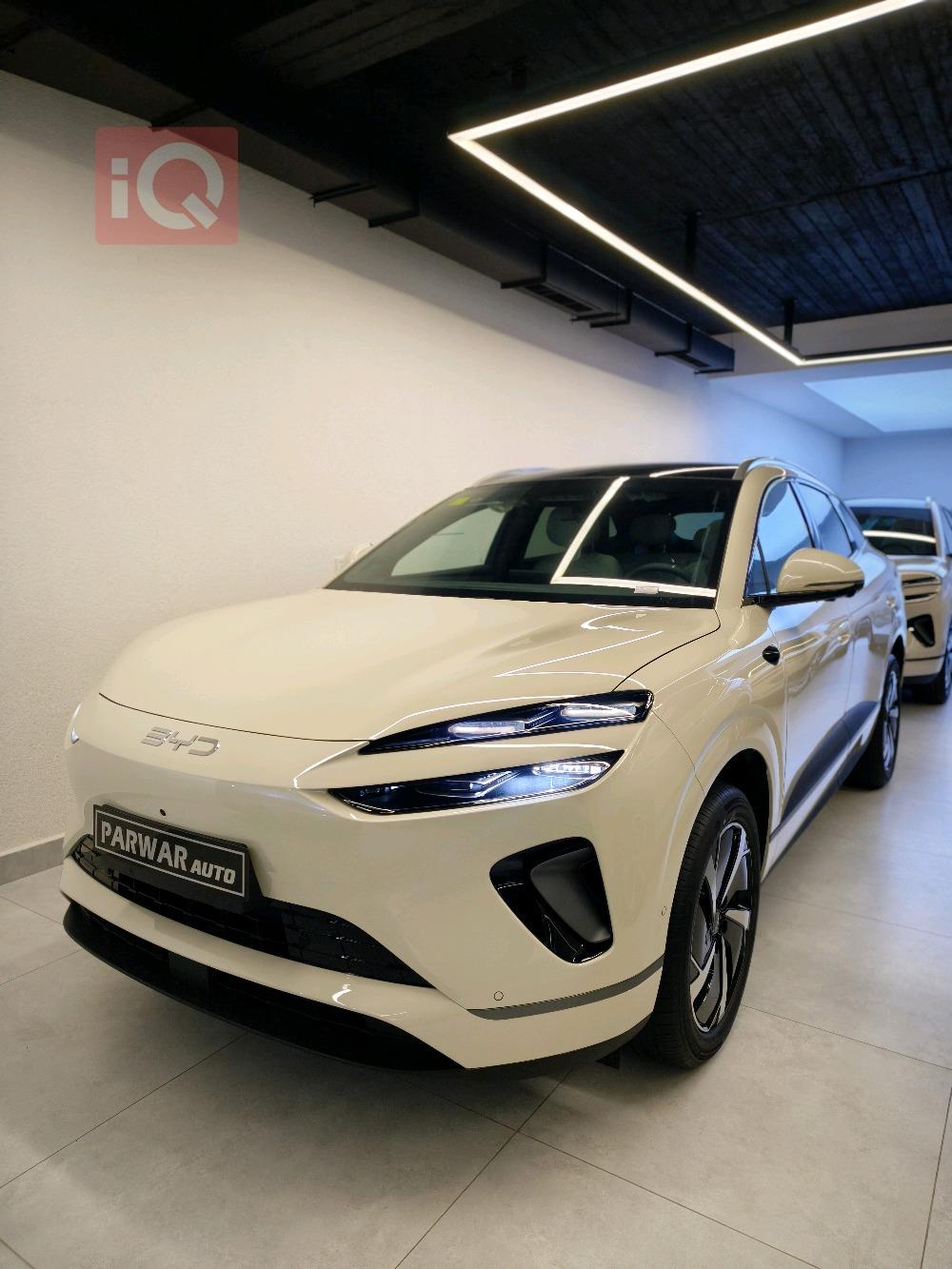 بي واي دي سيليون 06 DM-i